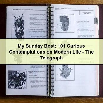 My Sunday Best: 101 Curious Contemplations on Modern Life-the Telegraph PDF Download