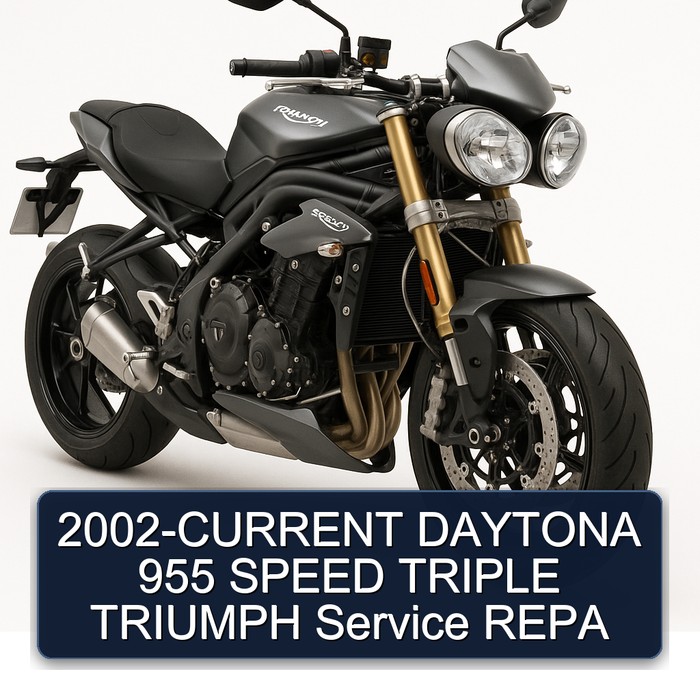 2002-CURRENT DAYTONA 955 SPEED TRIPLE TRIUMPH Service REPA