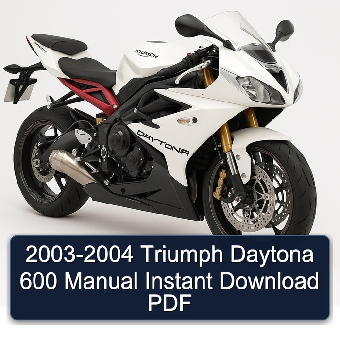2003-2004 Triumph Daytona 600 Manual Instant Download PDF
