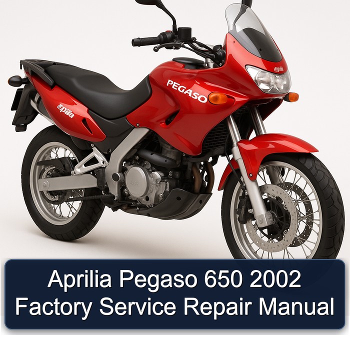 Aprilia Pegaso 650 2002 Factory Manual de servicio y reparación
