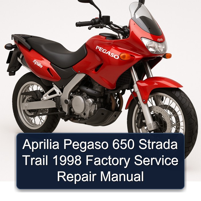 Aprilia Pegaso 650 Strada Trail 1998 Factory Manual de servicio y reparación