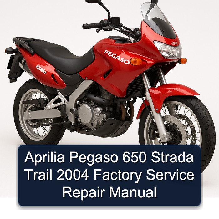 Aprilia Pegaso 650 Strada Trail 2004 Factory Manual de servicio y reparación