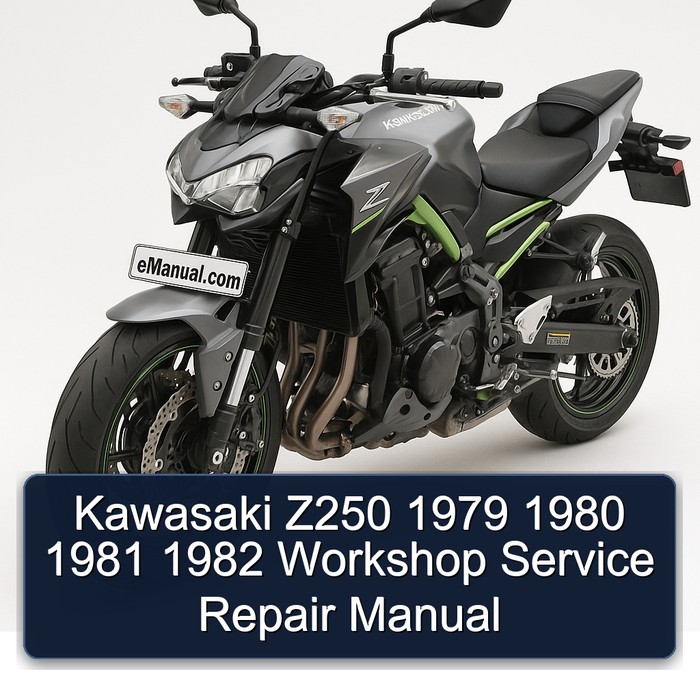 Kawasaki Z250 1979 1980 1981 1982 Workshop Manual de servicio y reparación