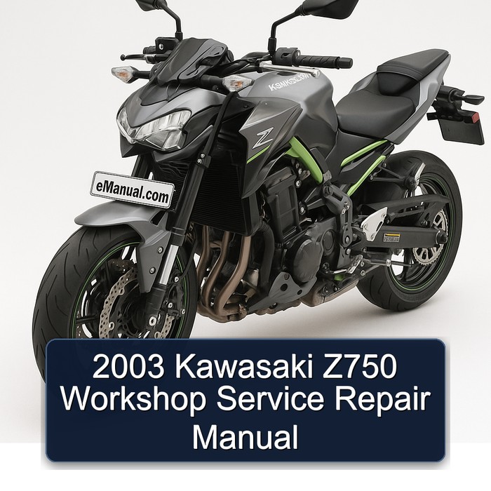 2003 Kawasaki Z750 Workshop Service Repair Manual