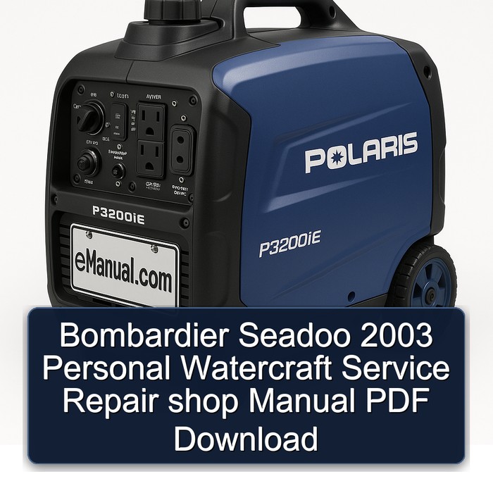 Manual de Servicio y Reparación Seadoo 2003 (PDF)