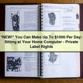 You Can Make Up to $1000 Per Day: Sitting at Your Home Computer-Private Label Rights PDF Download