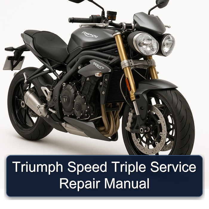 Triumph Speed Triple Manual de servicio y reparación