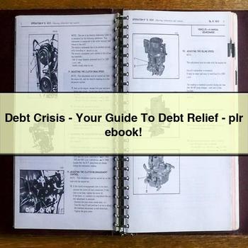 Debt Crisis-Your Guide to Debt Relief-Plr Ebook PDF Download