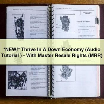 Thrive in a Down Economy (Audio Tutorial )-with Master Resale Rights (Mrr) PDF Download