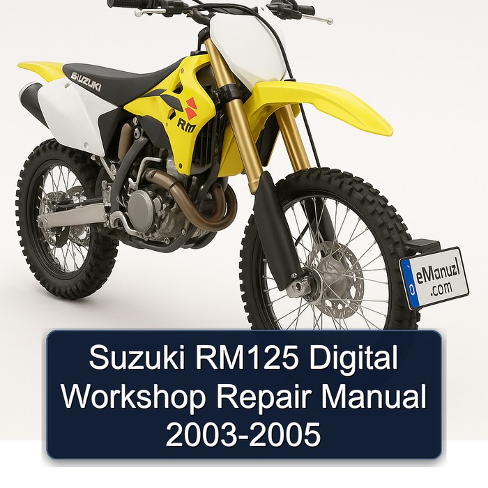 Suzuki RM125 Digital Workshop Repair Manual 2003-2005