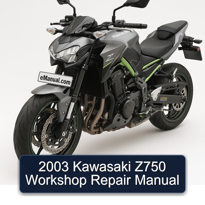 2003 Kawasaki Z750 Workshop Repair Manual