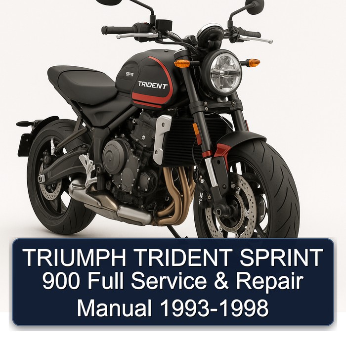 TRIUMPH TRIDENT SPRINT 900 Full Manual de servicio y reparación 1993-1998
