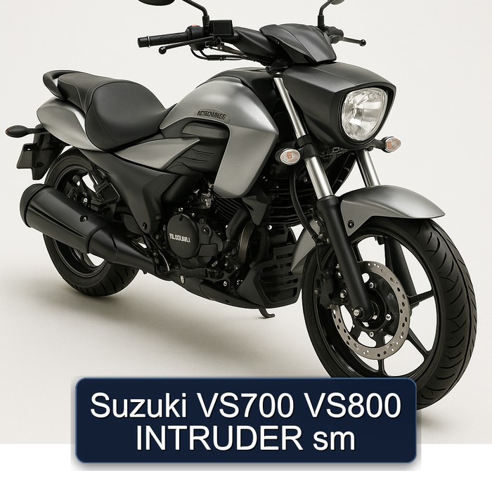 Suzuki VS700 VS800 INTRUDER sm
