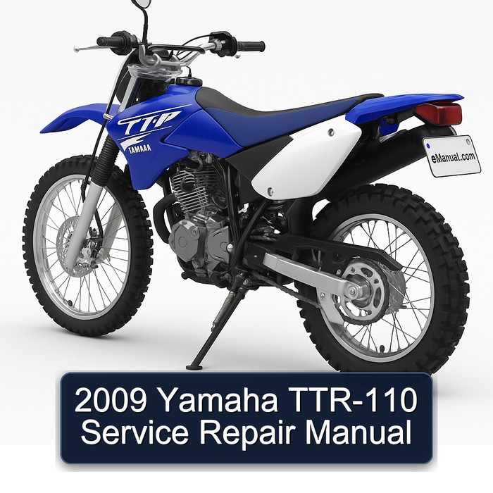 2009 Yamaha TTR-110 Manual de servicio y reparación