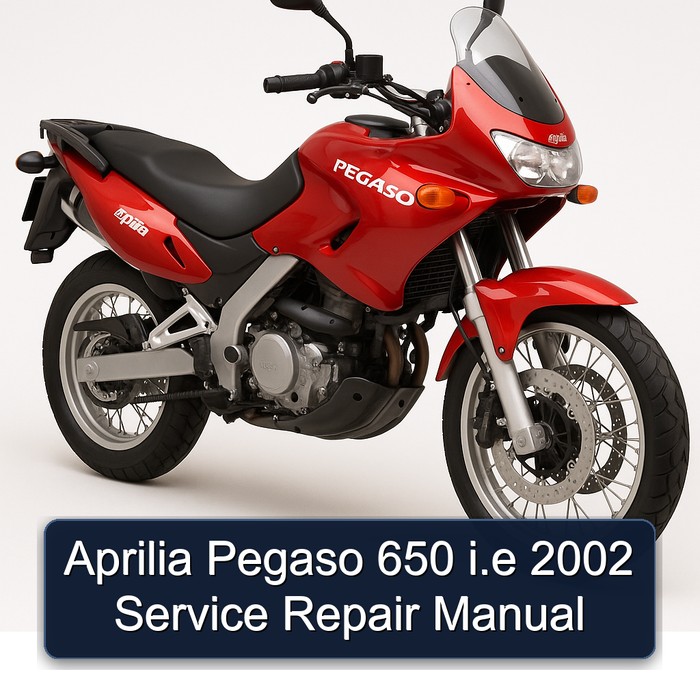 Aprilia Pegaso 650 i.e 2002 Manual de servicio y reparación