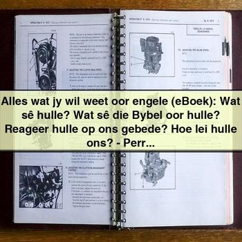 Alles Wat Jy Wil Weet Oor Engele (Eboek): Wat Sê Hulle? Wat Sê Die Bybel Oor Hulle? Reageer Hulle Op Ons Gebede? Hoe Lei Hulle Ons? by Perry Stone PDF Download