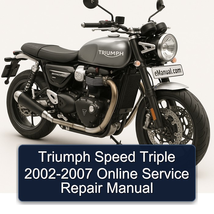 Triumph Speed Triple 2002-2007 Online Manual de servicio y reparación