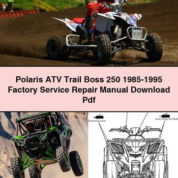 Polaris ATV Trail Boss 250 1985-1995 Factory Manual de servicio y reparación Pdf