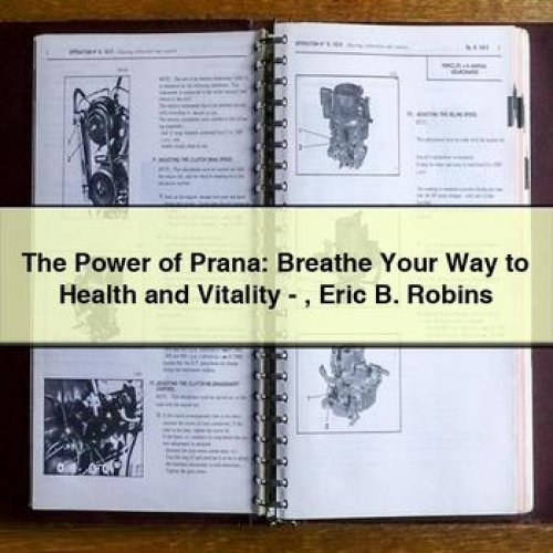 The Power of Prana: Breathe Your Way to Health and Vitality - Eric B. Robins PDF Download