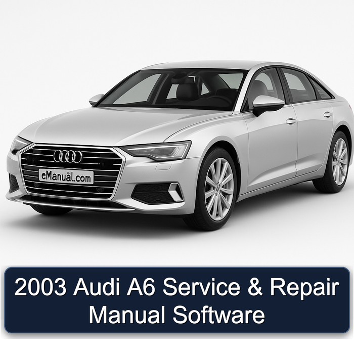 2003 Audi A6 Service & Repair Manual Software