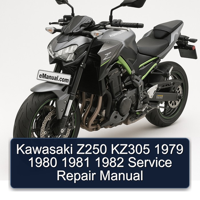 Kawasaki Z250 KZ305 1979 1980 1981 1982 Manual de servicio y reparación