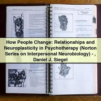 How People Change: Relationships and Neuroplasticity in Psychotherapy PDF Download