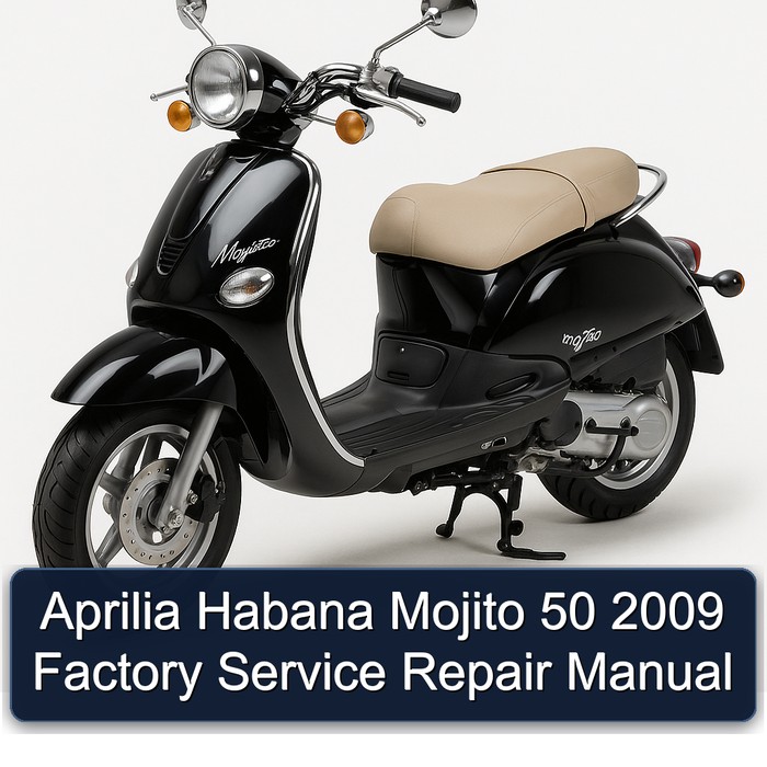Aprilia Habana Mojito 50 2009 Factory Manual de servicio y reparación