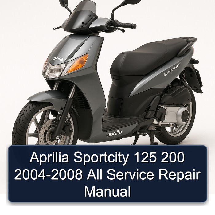 Aprilia Sportcity 125 200 2004-2008 All Manual de servicio y reparación