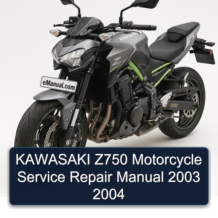 KAWASAKI Z750 Motorcycle Manual de servicio y reparación 2003 2004
