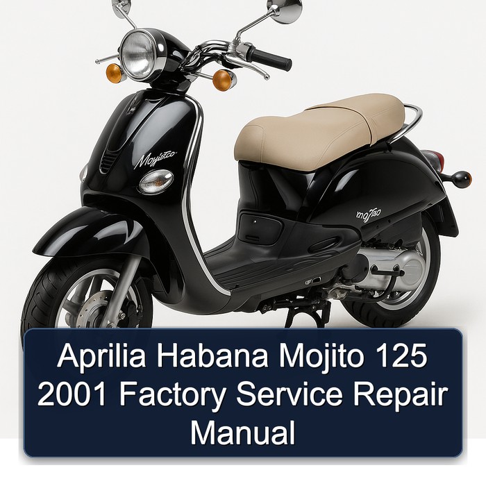Aprilia Habana Mojito 125 2001 Factory Manual de servicio y reparación