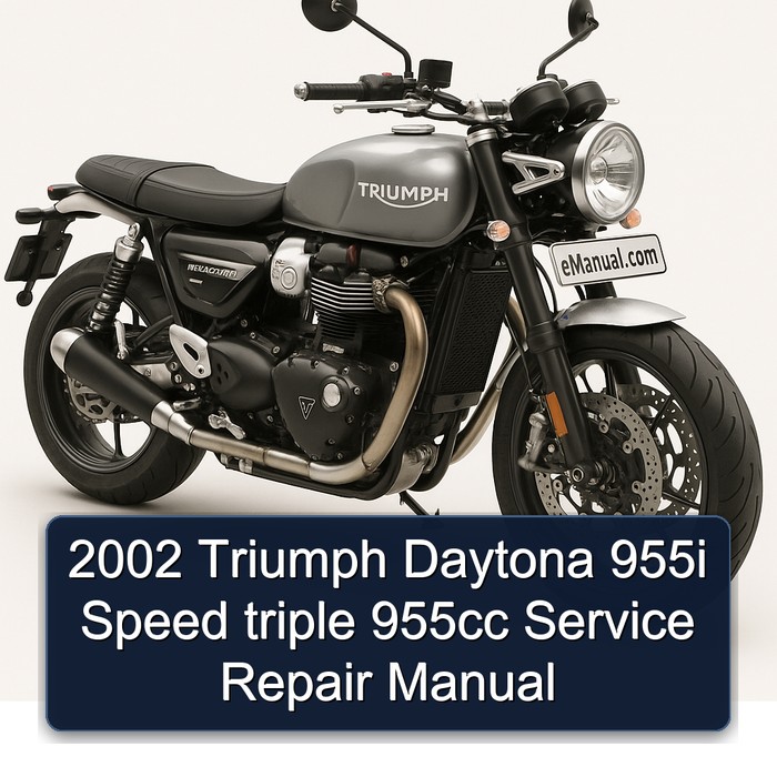 2002 Triumph Daytona 955i Speed triple 955cc Manual de servicio y reparación
