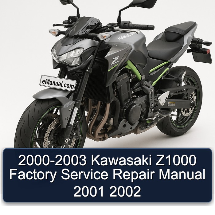 2000-2003 Kawasaki Z1000 Factory Service Repair Manual 2001 2002