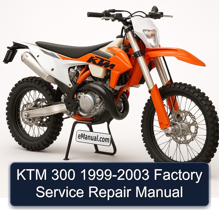KTM 300 1999-2003 Factory Manual de servicio y reparación