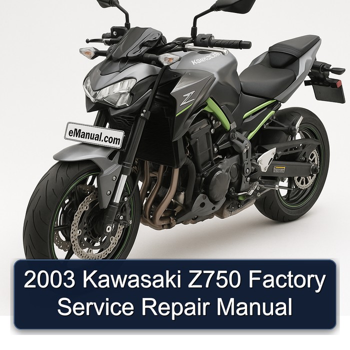 2003 Kawasaki Z750 Factory Service Repair Manual
