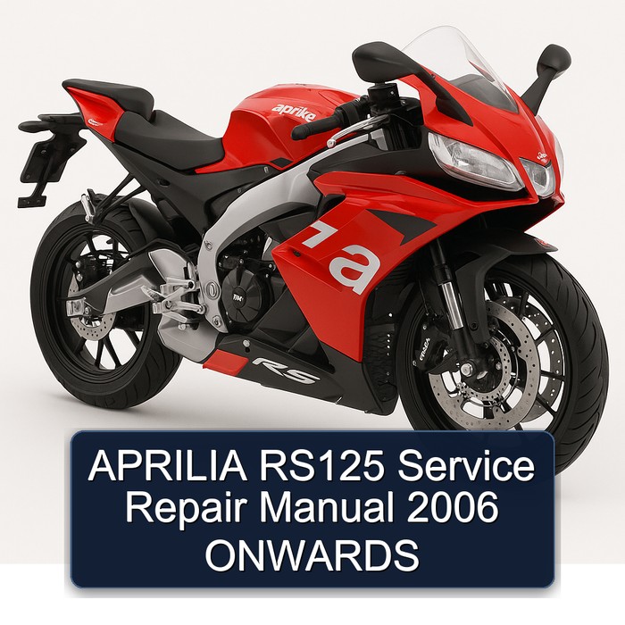APRILIA RS125 Manual de servicio y reparación 2006 ONWARDS