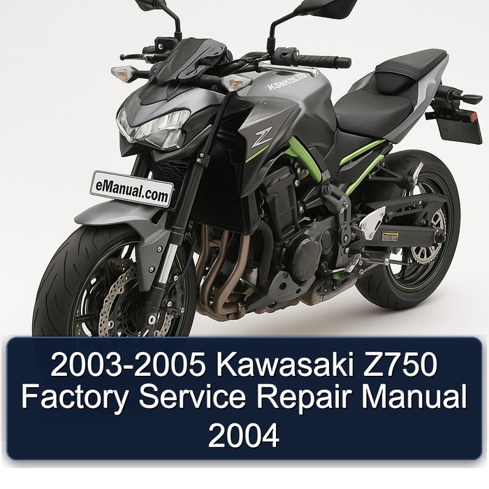 2003-2005 Kawasaki Z750 Factory Service Repair Manual 2004