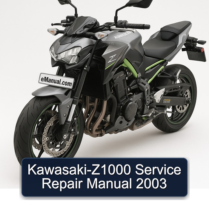 Kawasaki-Z1000 Service Repair Manual 2003