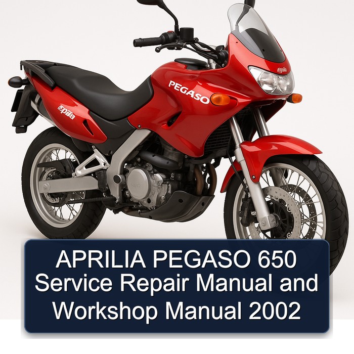 APRILIA PEGASO 650 Manual de servicio y reparación and Workshop Manual 2002