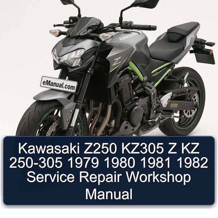Kawasaki Z250 KZ305 Z KZ 250-305 1979 1980 1981 1982 Service Repair Workshop Manual