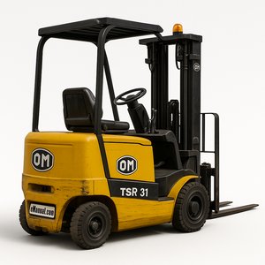 TSR31