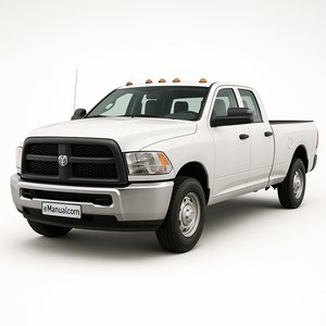 Fuel Injection / Pumps